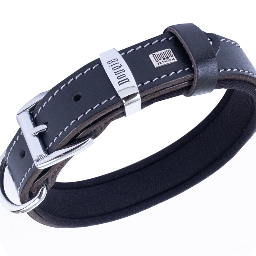 SBT2536MBLACK-picture2Path