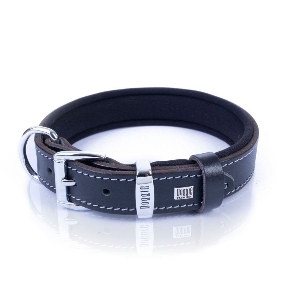 SBT2536MBLACK-picture3Path