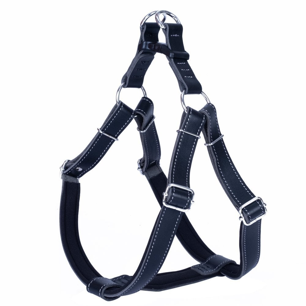 SGTXXLBLACK-picture2Path