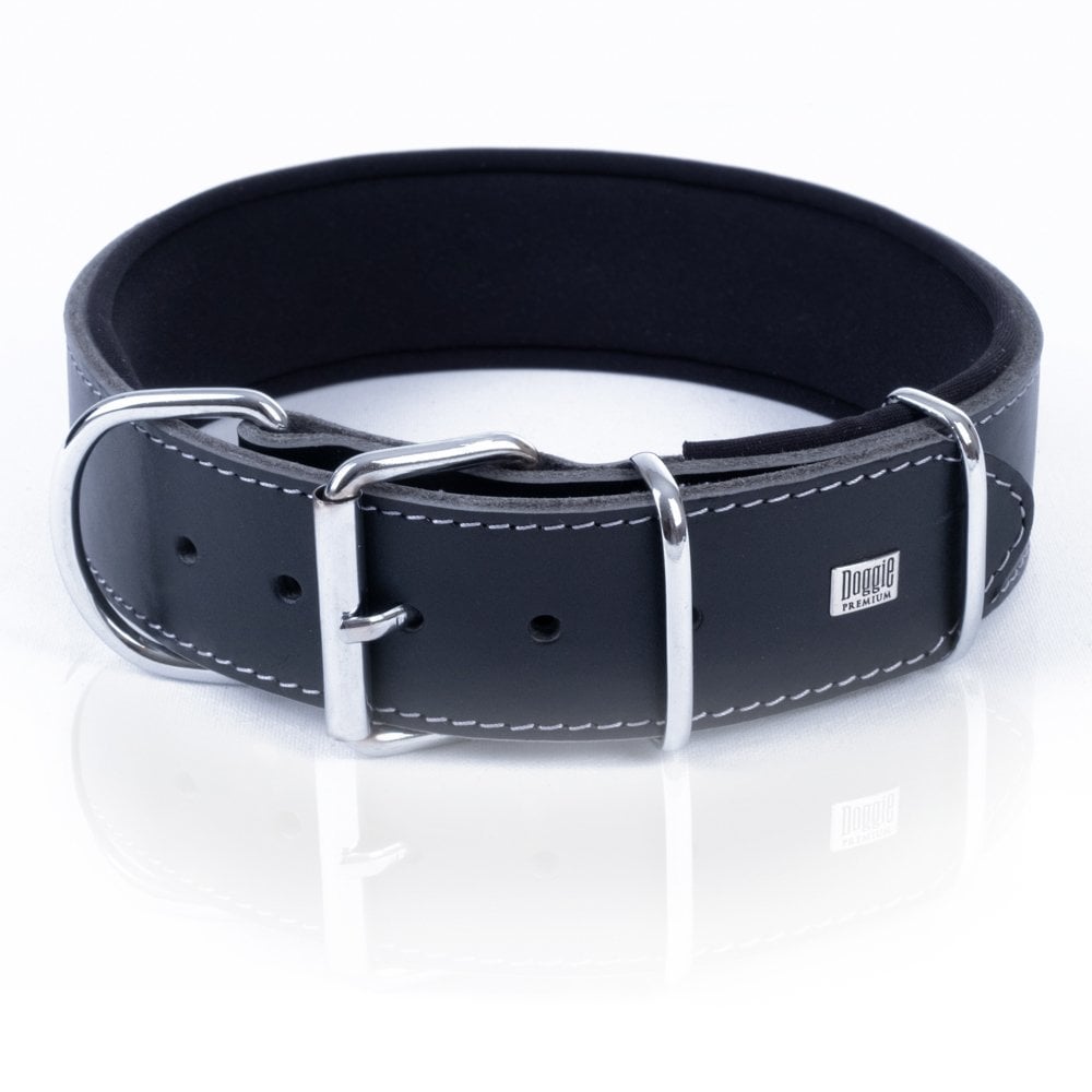 BYT5010MBLACK-picture3Path