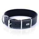 BYT4010MBLACK-picture3Path