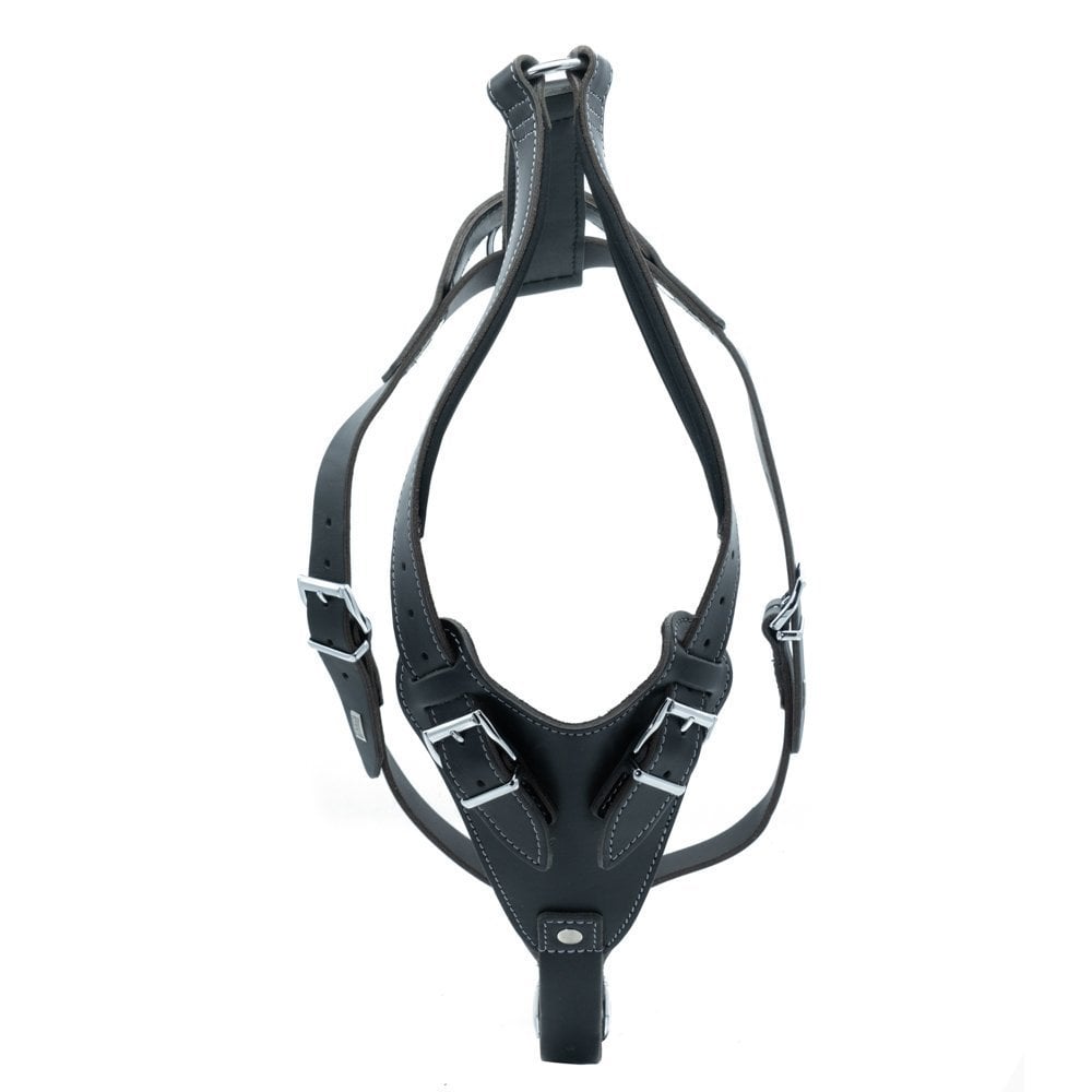 DRGMBLACK-picture2Path