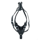 DRGMBLACK-picture2Path