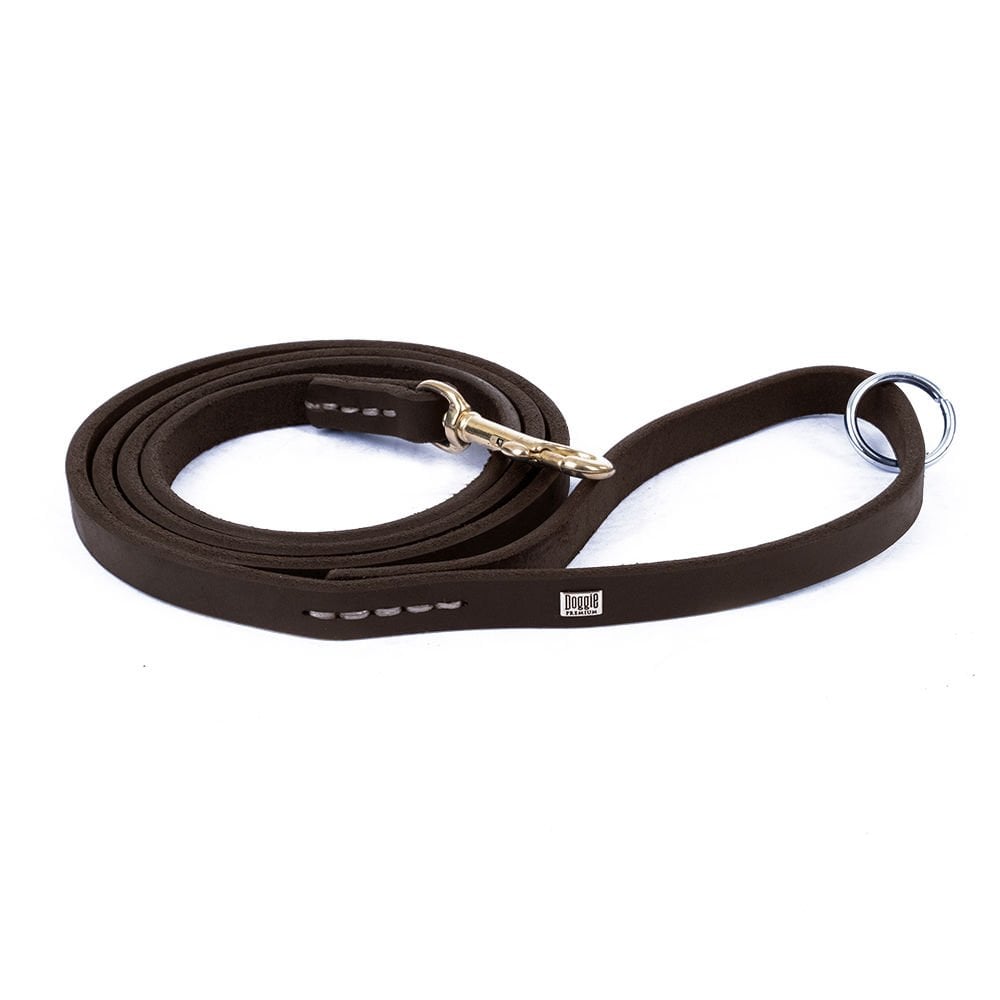 YEGT11SOILCHESTNUT-picture2Path