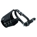 AGKLBLACK-picture2Path