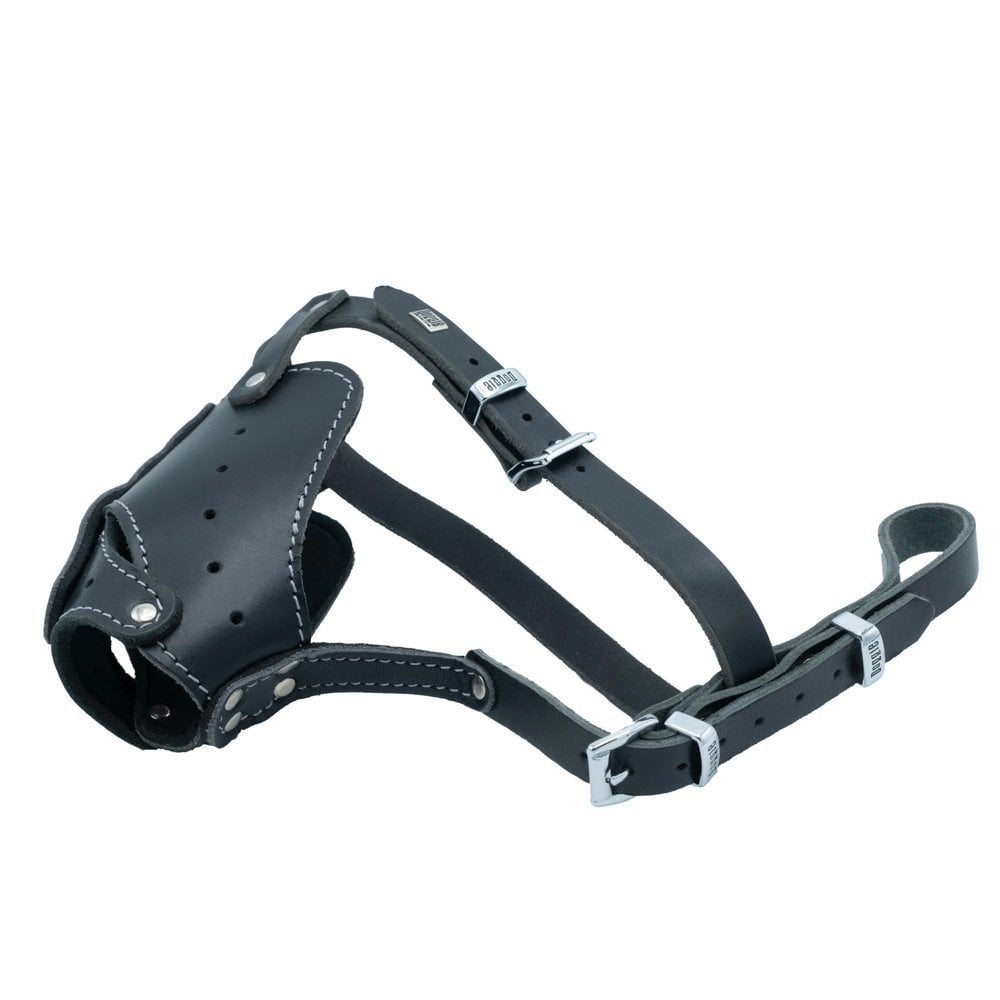 AGKMBLACK-picture2Path