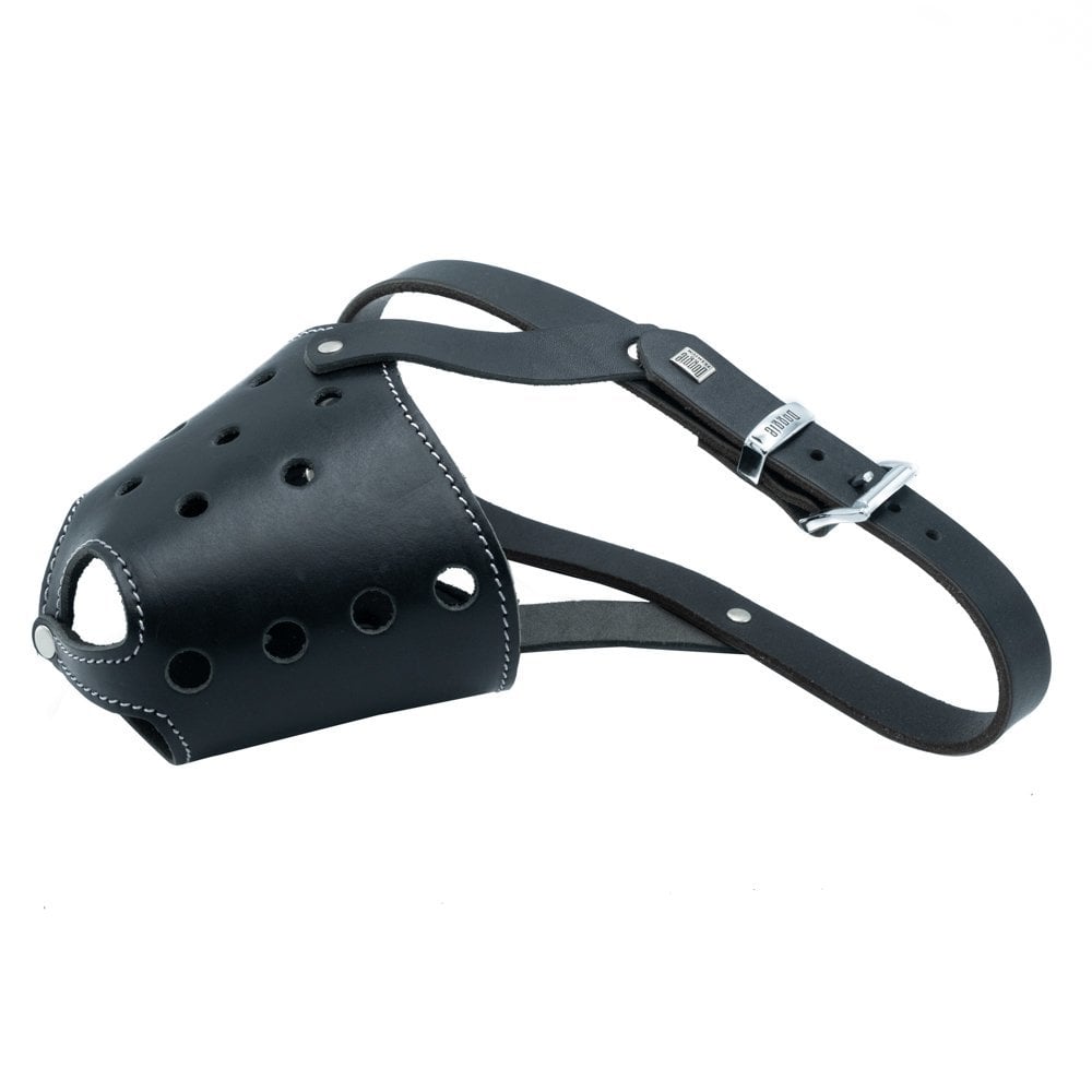 BGKXLBLACK-picture2Path