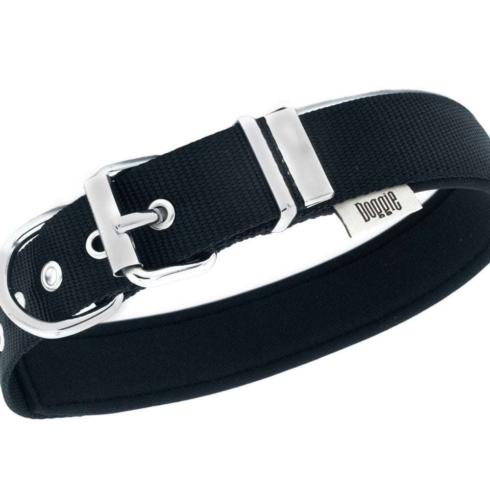 DSBT3062LBLACK-picture2Path