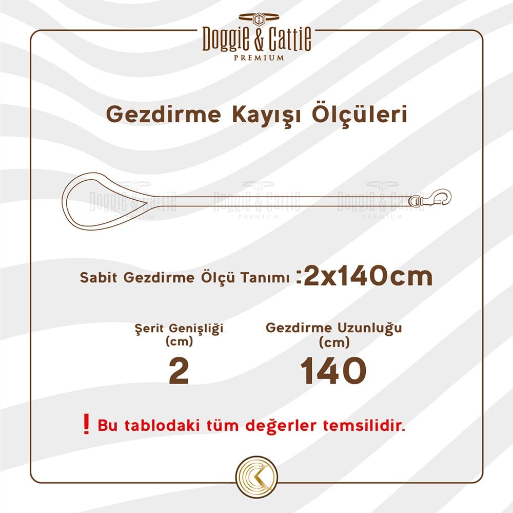 DZGT45MBLACK-picture3Path