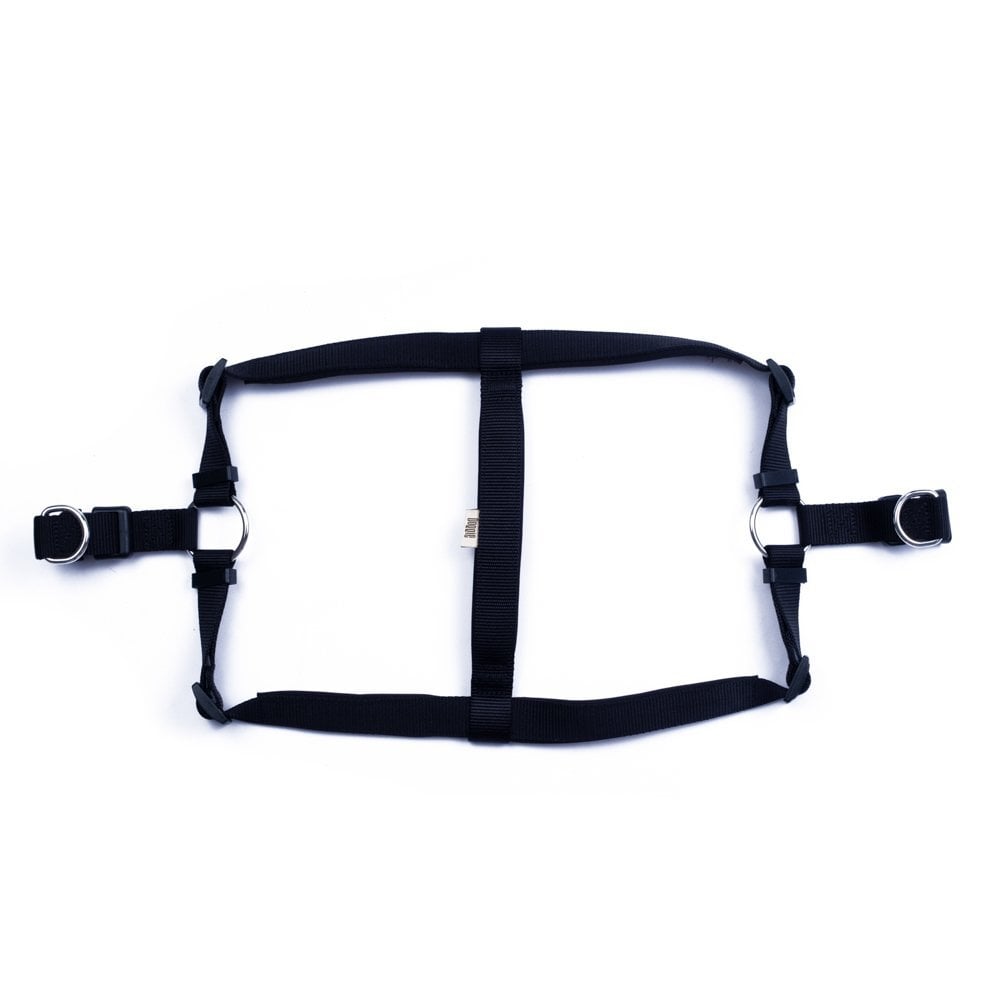 DSGTXLBLACK-picture2Path