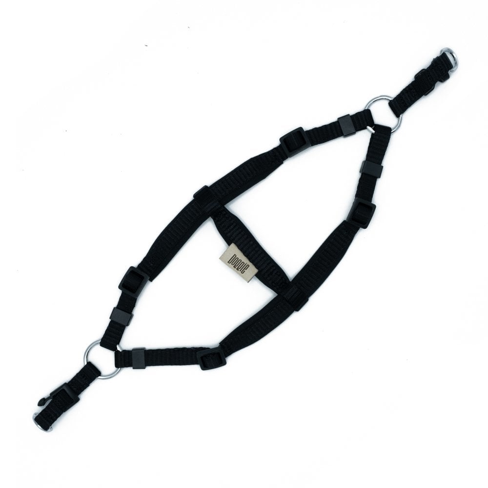 DSGTXXSBLACK-picture2Path