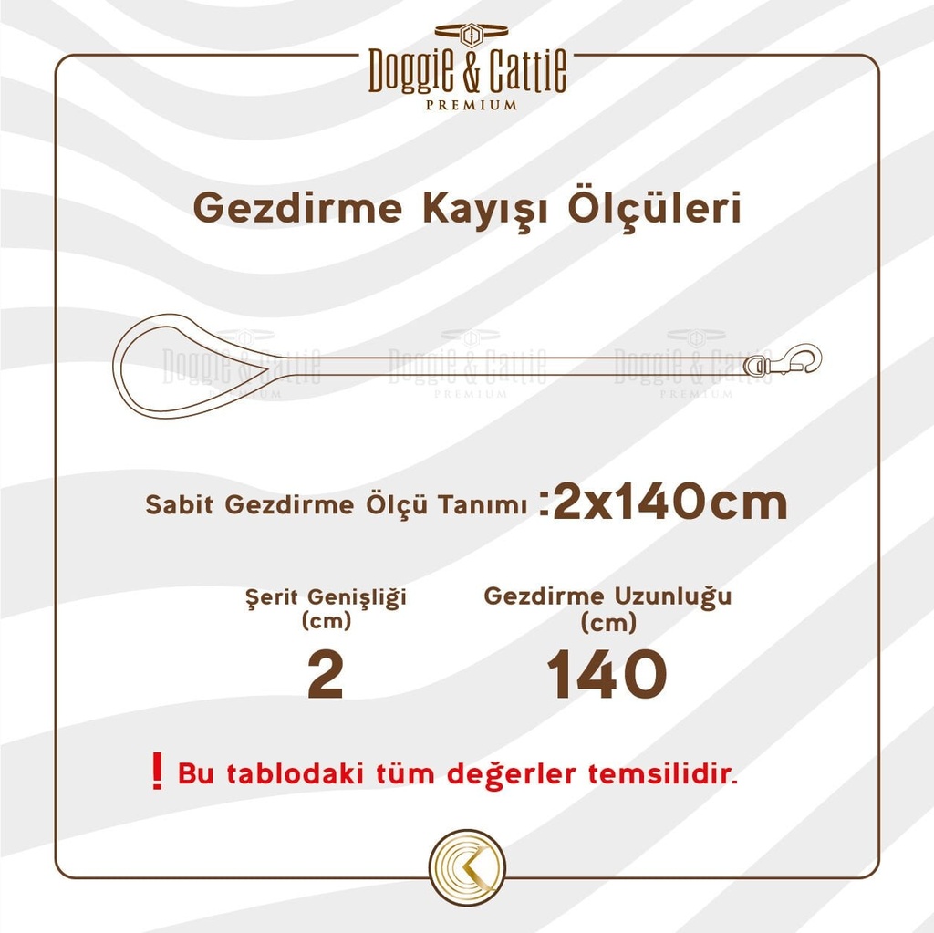 DCG20MBLACK-picture3Path