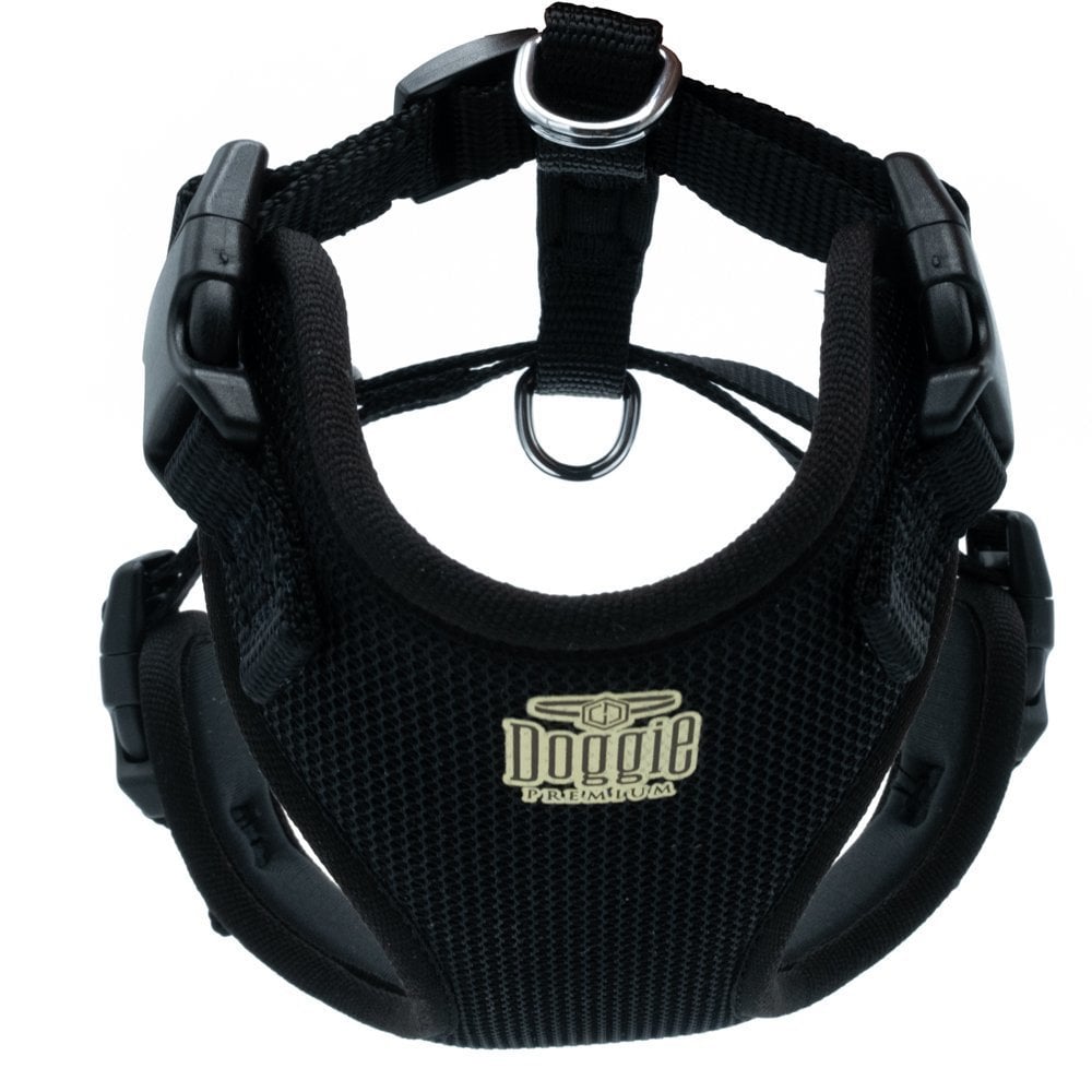 ADGTSBLACK-picture2Path