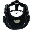 ADGTSBLACK-picture2Path