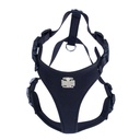 ADGTXLBLACK-picture2Path