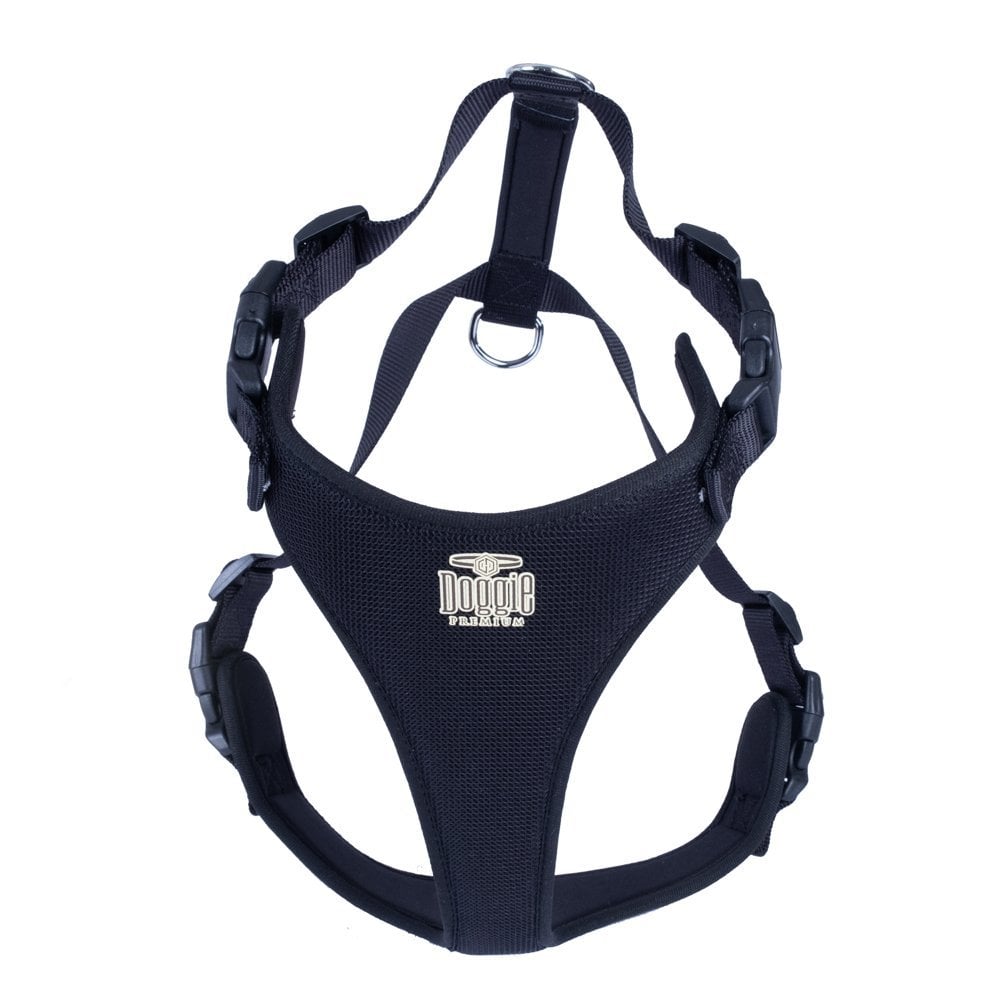 ADGTXXLBLACK-picture2Path