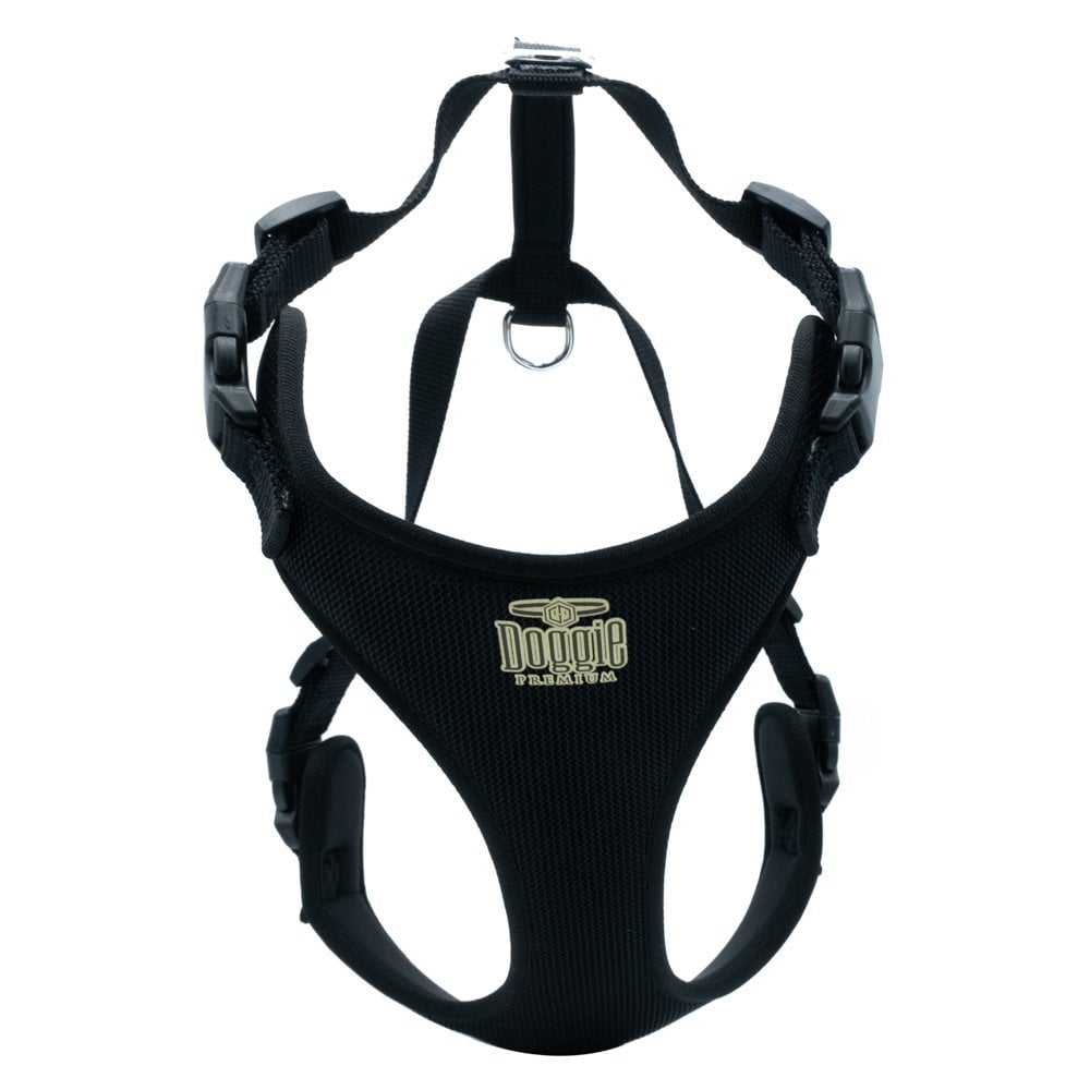 ADGTMBLACK-picture2Path