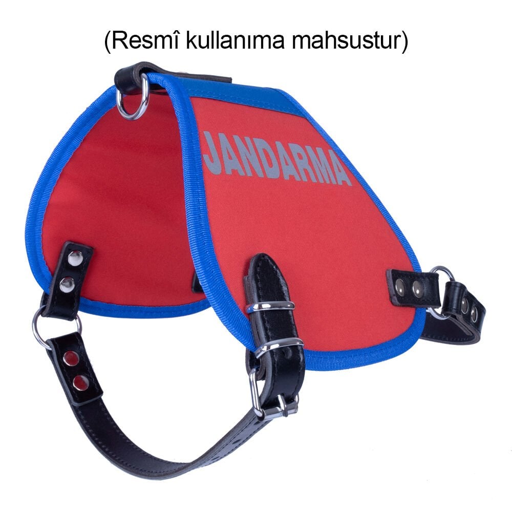 JNGXLRED-picture2Path