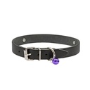 NKT18XXLBLACK-picture2Path