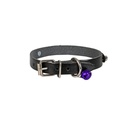 NKT12LBLACK-picture2Path