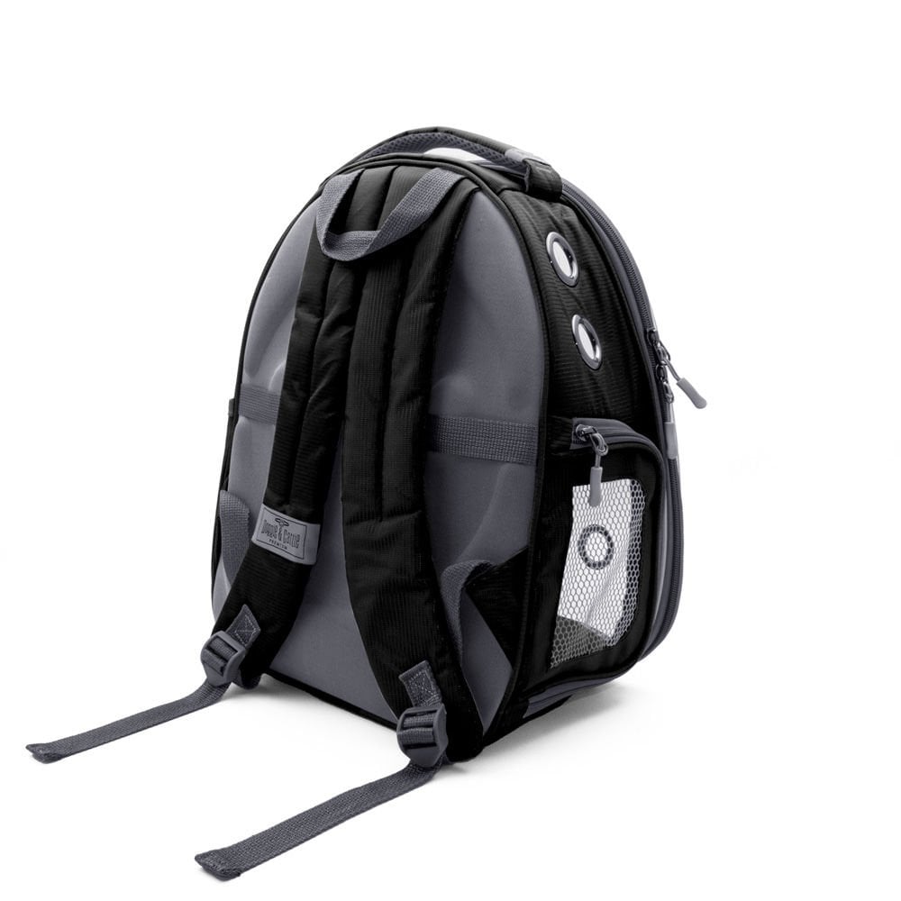 NEWVISIONBLACK-picture2Path