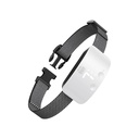 BARKTRAINWHITE-picture2Path