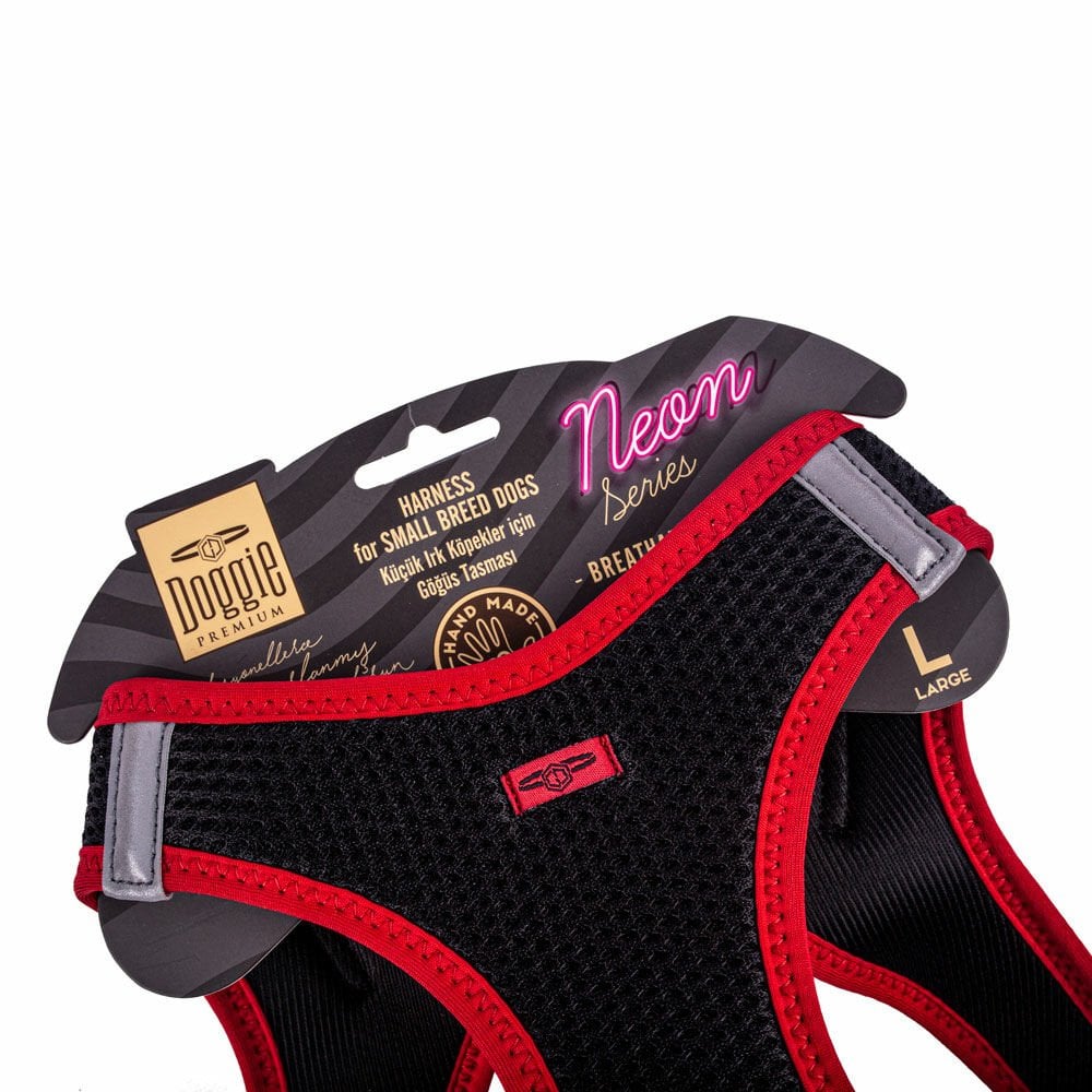 ANGLRED-picture3Path