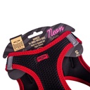 ANGSRED-picture3Path