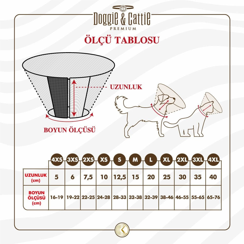 ECOLLARC2XS-picture3Path