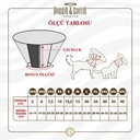 ECOLLARCXL-picture3Path