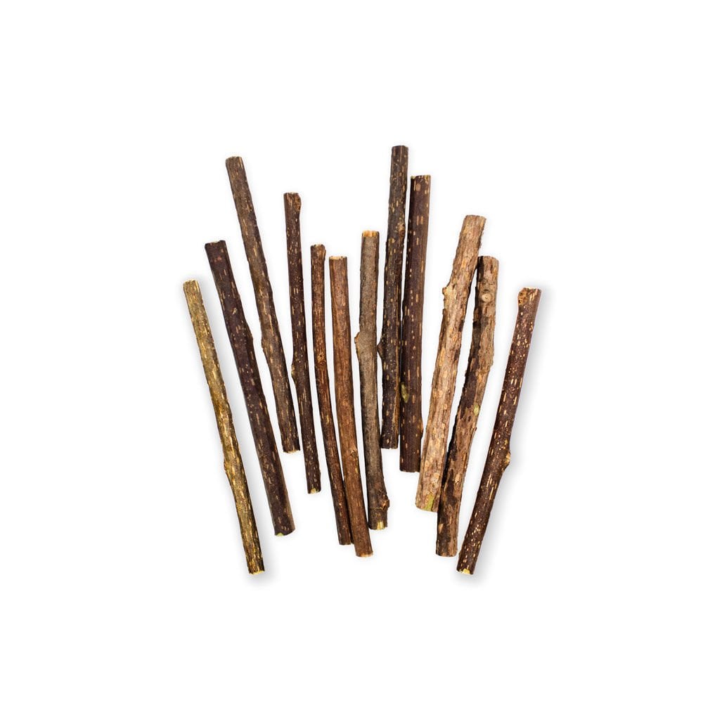 CTOYMATAM12-picture2Path