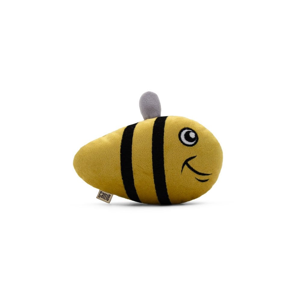 CTOY15ARI-picture2Path