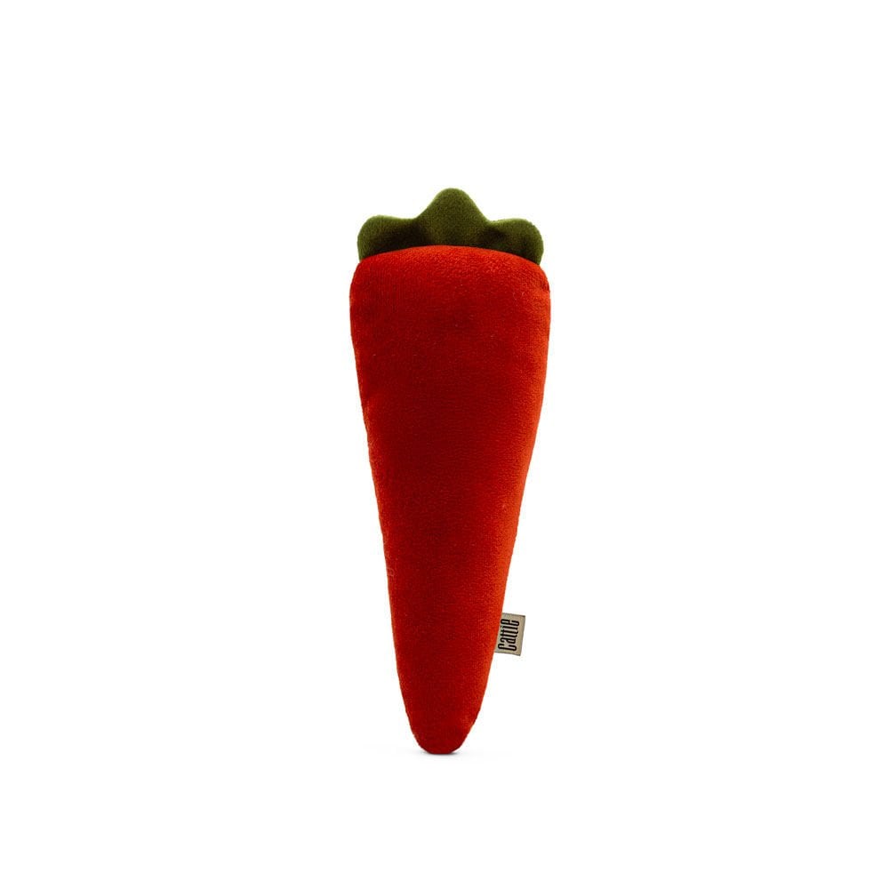 CTOY20HAVUC-picture3Path