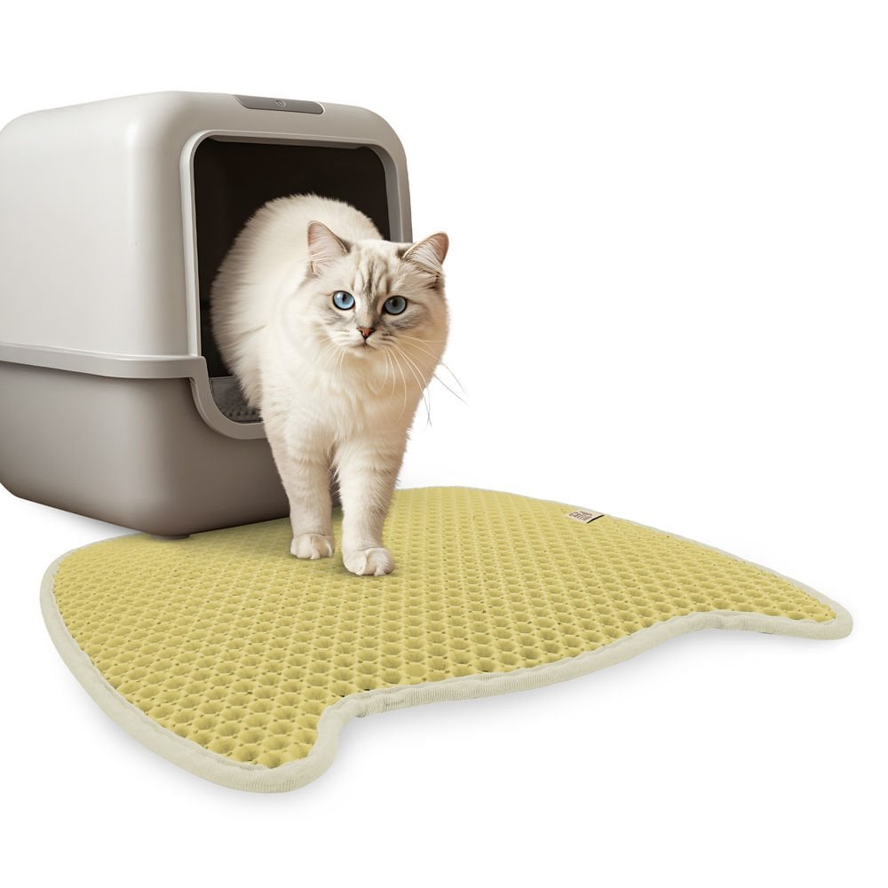 CATMATMBEIGE-picture3Path