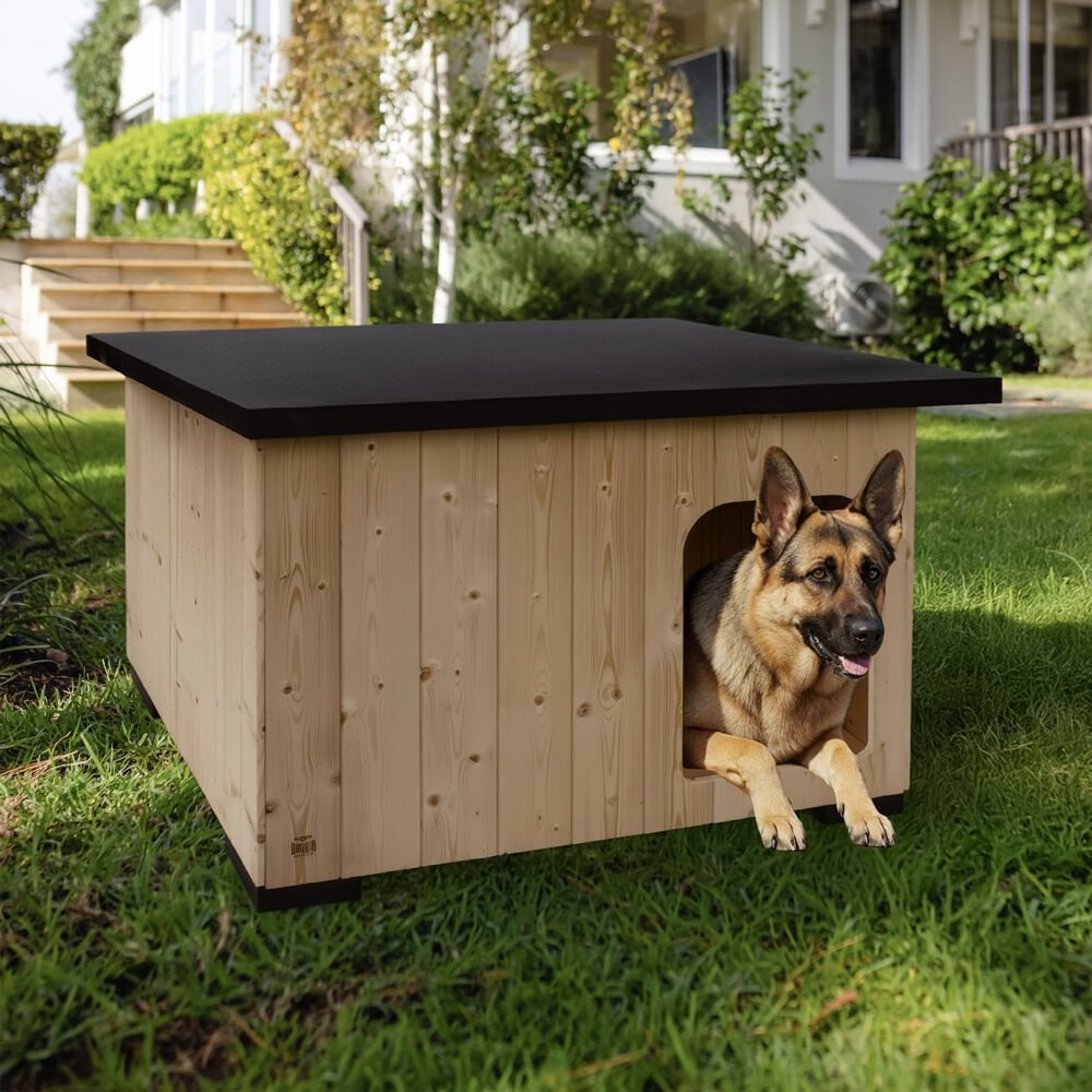 BARKAXL-picture3Path