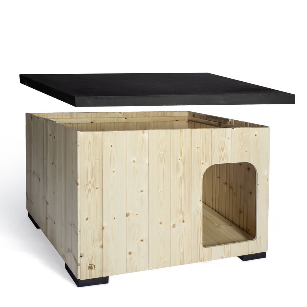 BARKAXL-picture4Path