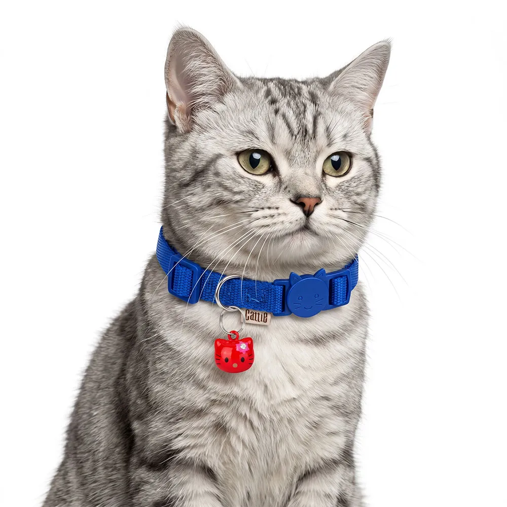 ZILSUSRED(2).webp