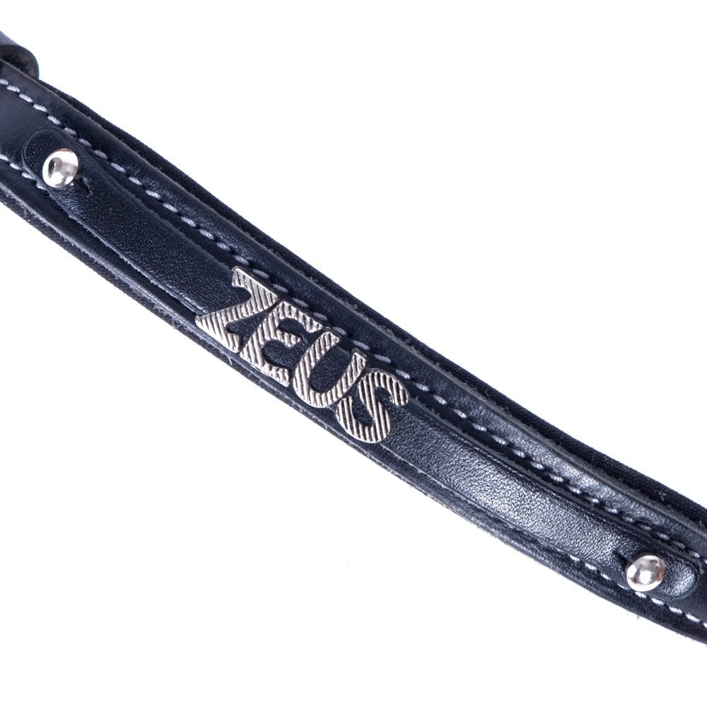 SBT2014SBLACK-picture2Path