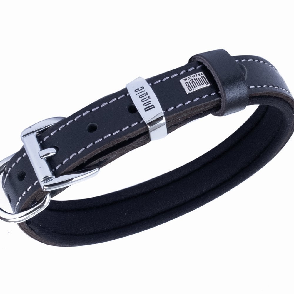 SBT2014SBLACK-picture3Path