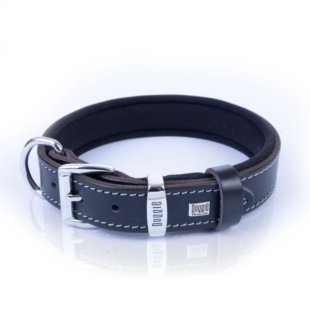 SBT2510MBLACK-picture3Path