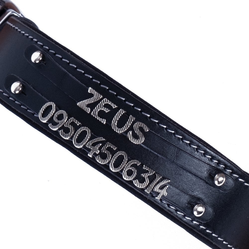 SBT3515LBLACK-picture2Path