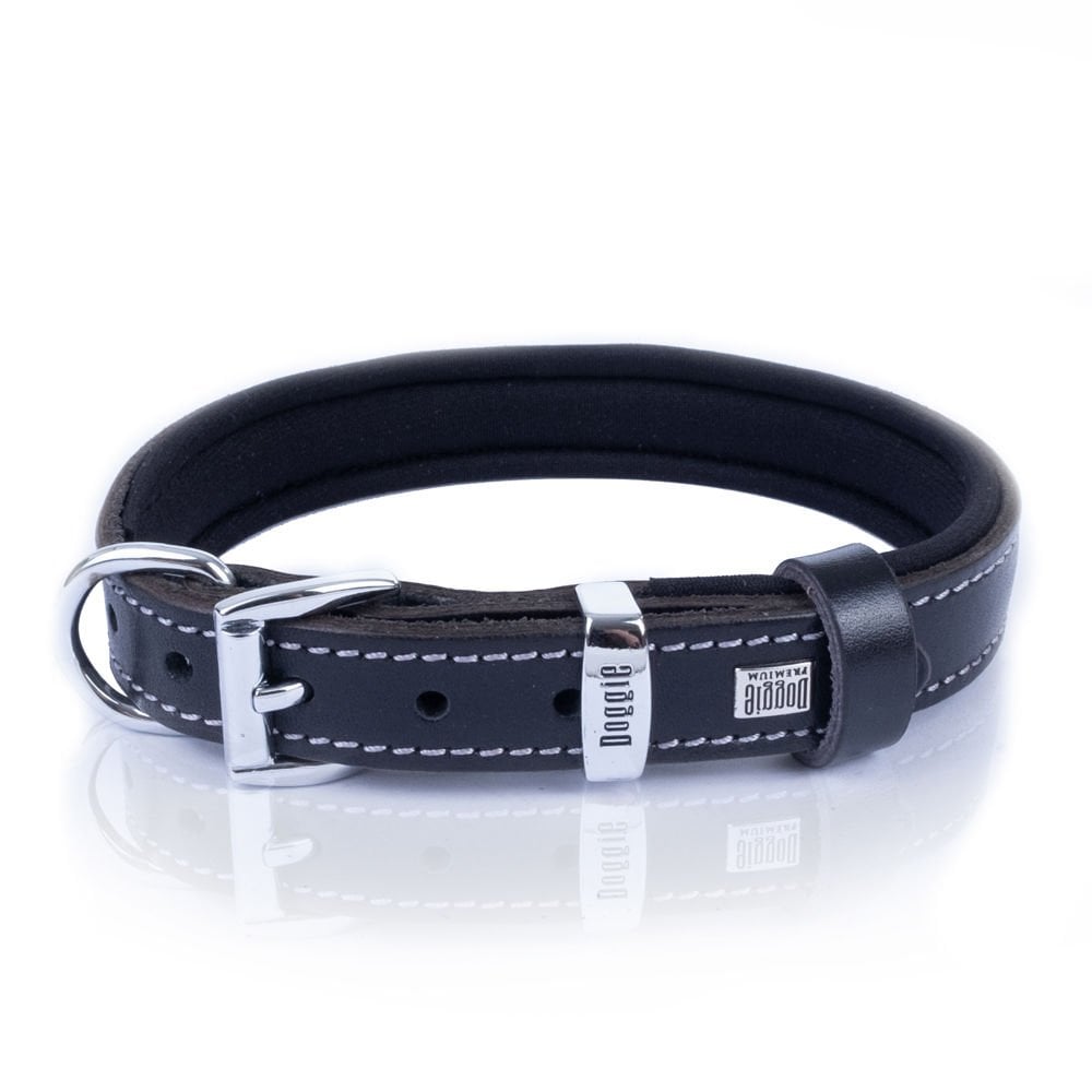 SBT2010MBLACK-picture3Path