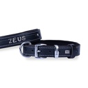 Doggie Nameplate Leather Dog Collar 2.5x37-45cm