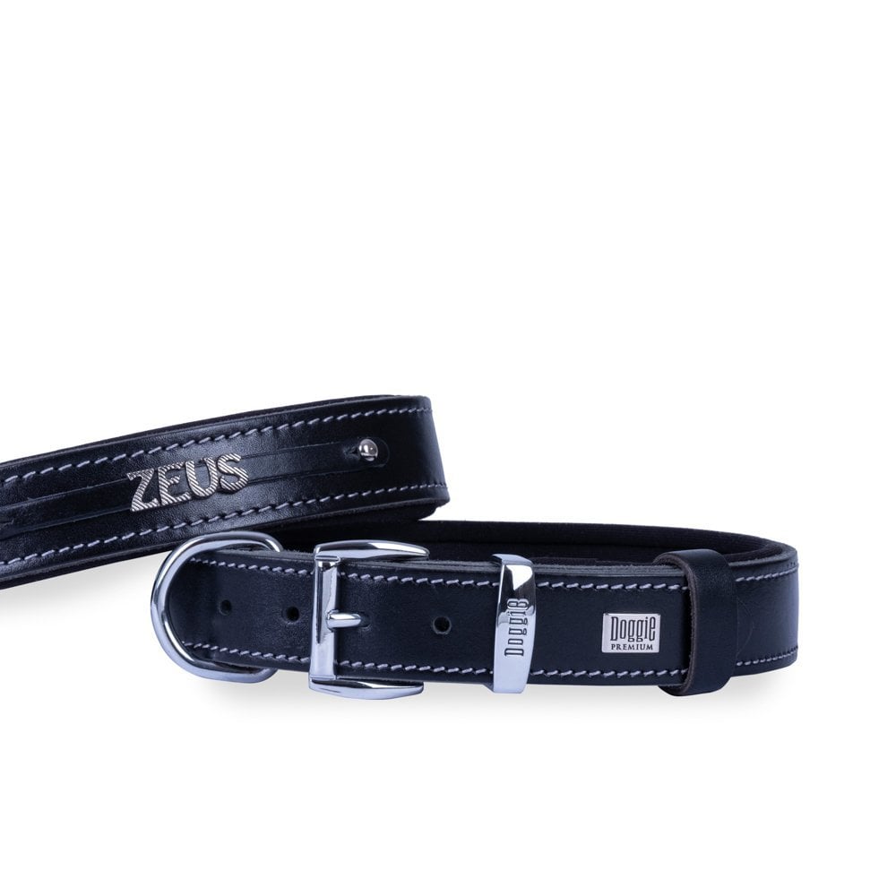 Doggie Nameplate Leather Dog Collar 3x42-50cm
