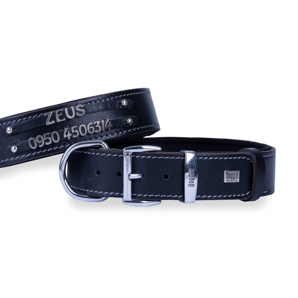 Doggie Çift Sıra İsimlikli Deri Köpek Tasması 3.5x47-55cm