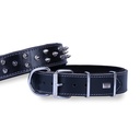 Doggie Studded Double Layer Leather Dog Collar 4x52-60cm