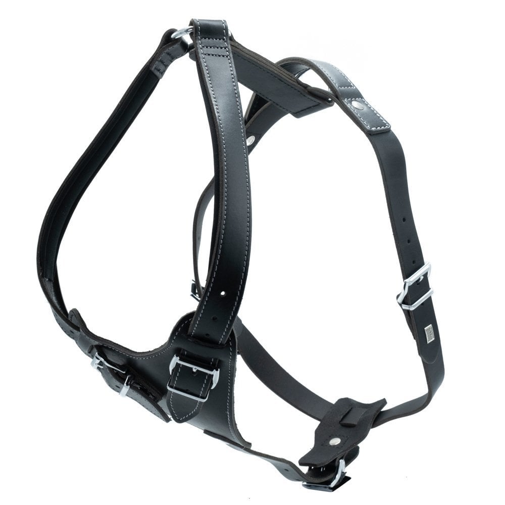 Doggie Dragon Leather Dog Harness M 65-75cm