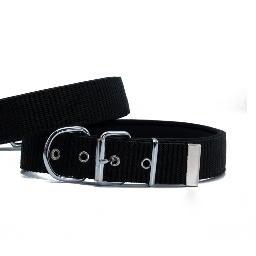 Doggie Palaska Köpek Tasması 5x50-60cm