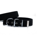 Doggie Heavy Duty Webbing Dog Collar 5x50-60cm