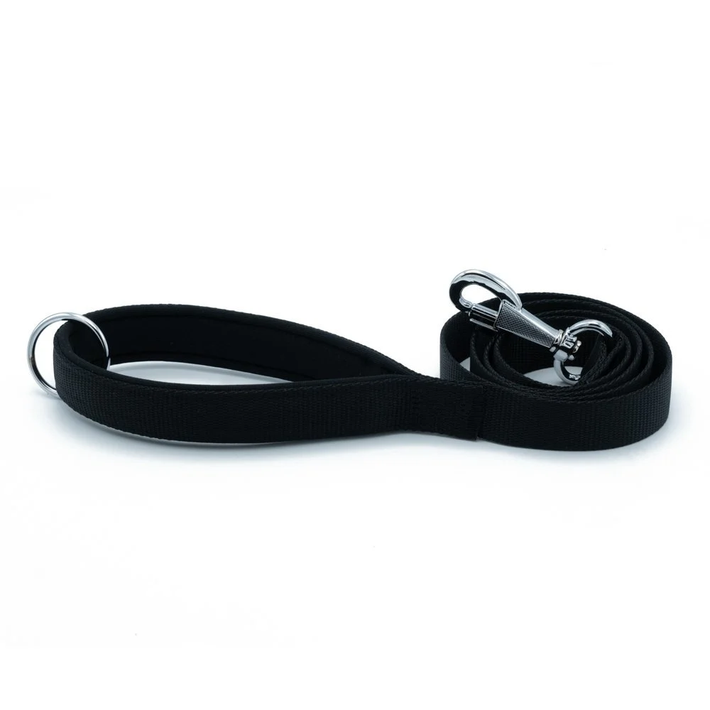 Doggie Webbing Dog Leash 2.5x120cm